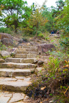 登山路