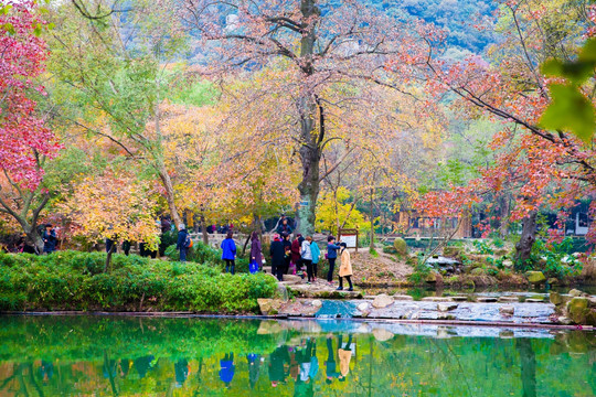 天平山 赏红叶 秋色 秋天