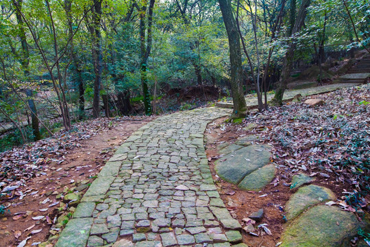 爬山 登山