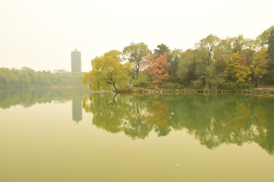 北大未名湖秋色