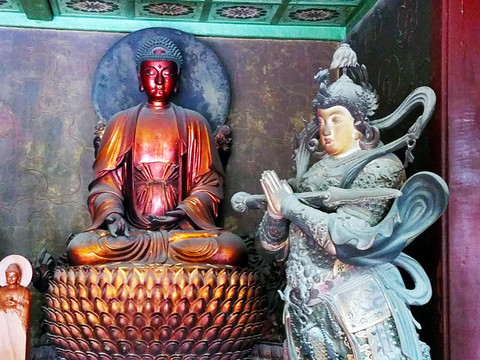 佛主 主 佛教 宗教