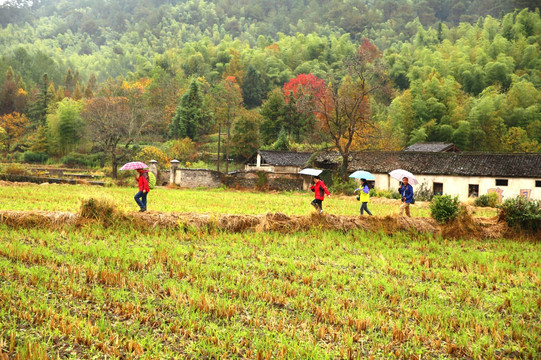 塔川秋色