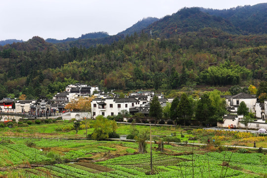 安徽西递宏村