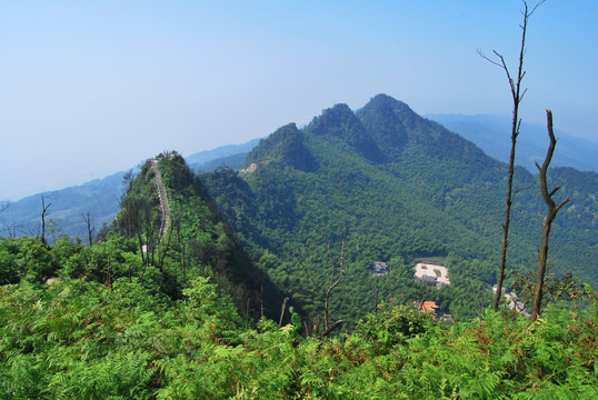 茶山竹海