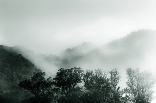 水墨风光 江南小景