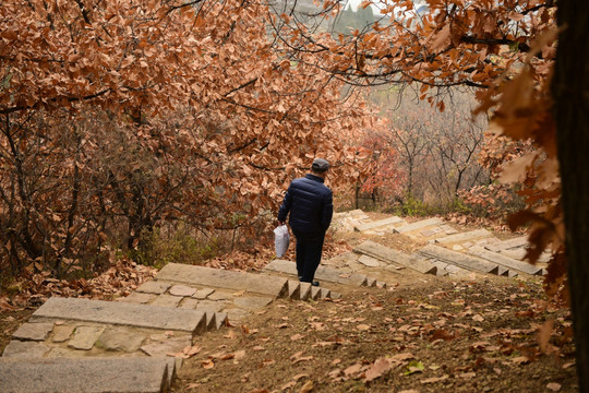 踏秋 山路