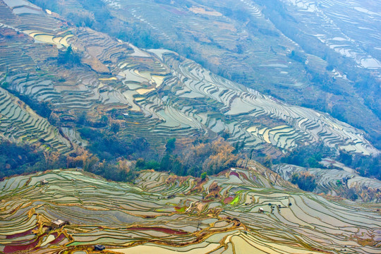 梯田风光