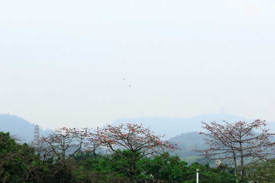 全景掃描惠州遠(yuǎn)眺