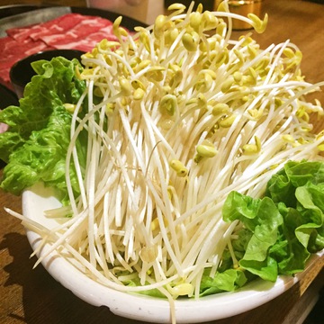 新鲜蔬菜 黄豆芽 生菜