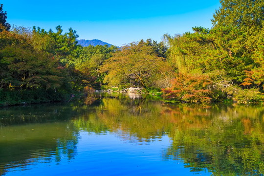 西湖风景