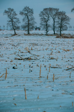 雪景