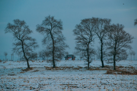 雪景