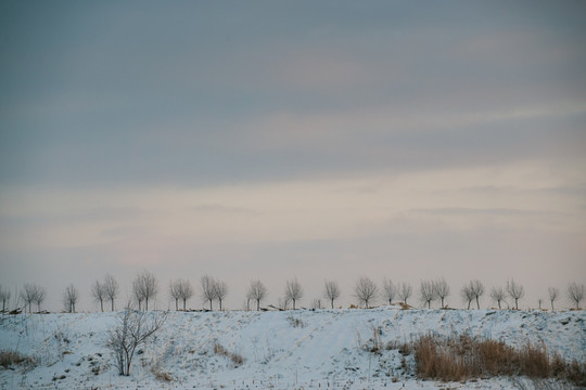 雪景