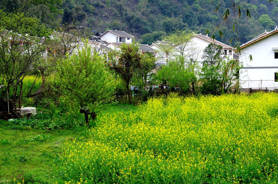 瑶族新村