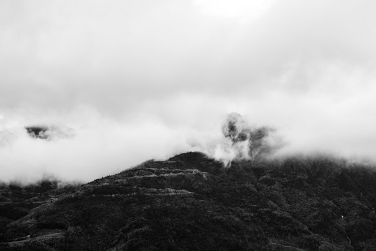 雁荡山云雾