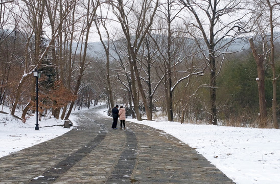 古道雪晴