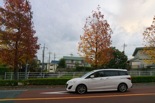 乘用车 两厢车