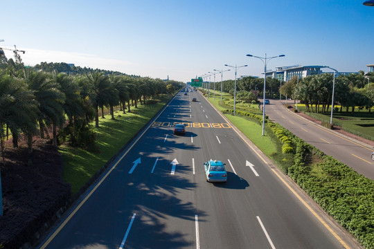 广州机场高速公路绿化工程