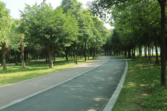 绿道 园林 公园