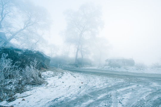 雪景