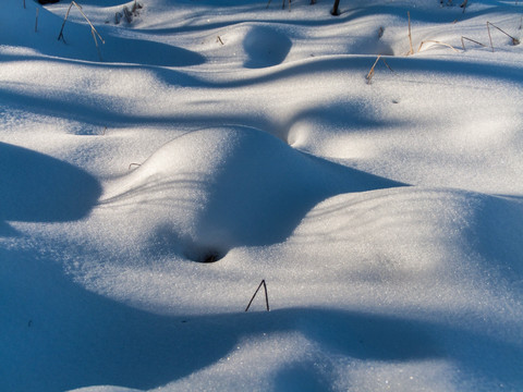 雪地