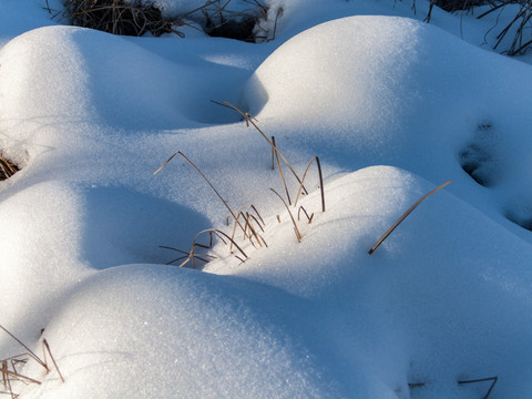 雪地