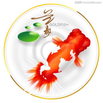 高清金魚