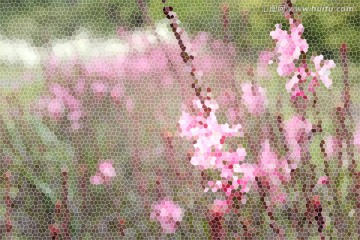 粉色花玻璃