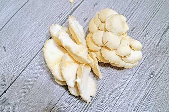 平菇素材 蘑菇 食用菌