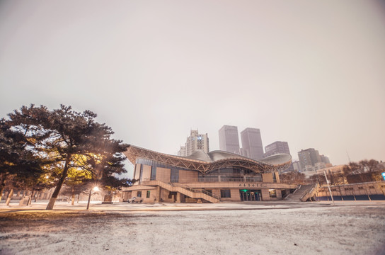 东北大学刘长春体育馆 雪夜