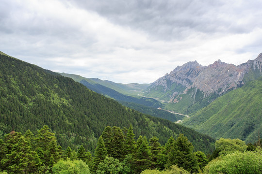 四川黄龙高山峡谷森林