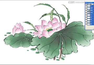 荷韻