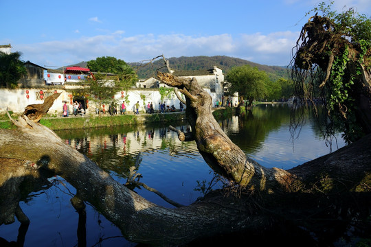 宏村风光