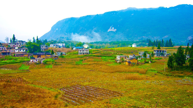 山村 山地