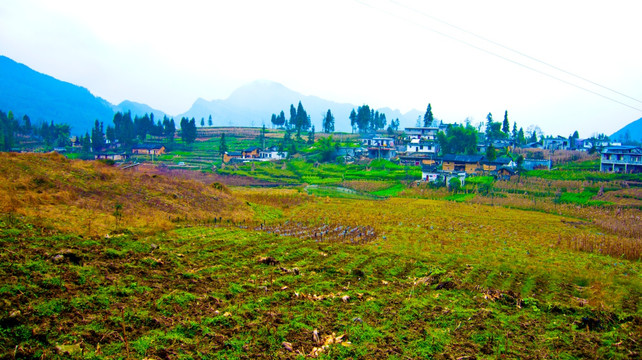 山村 山地