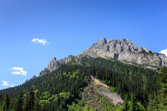 九寨沟高山森林蓝天白云