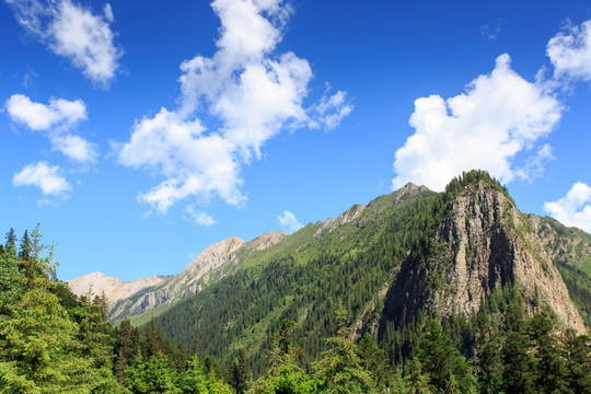 九寨沟高山森林蓝天白云