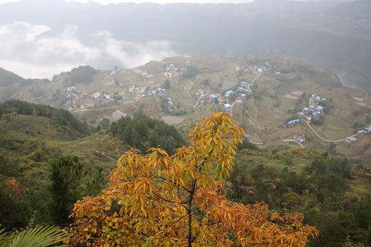 大山深处