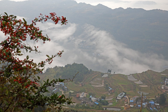 山区 红叶 秋季 彩林 秋天