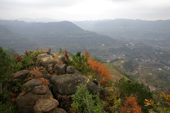 山景