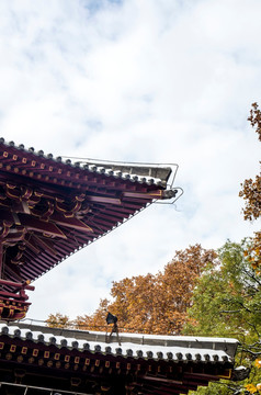 城樓