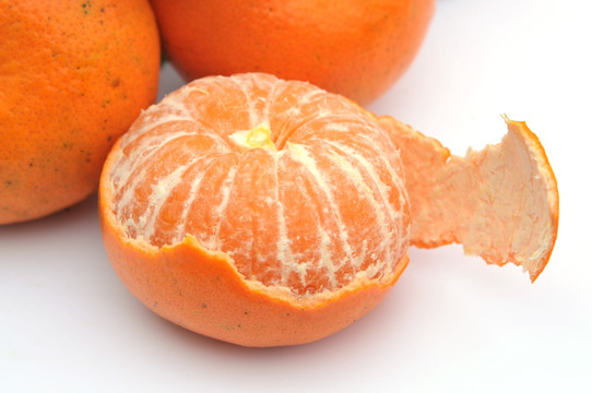 口子津柑橘