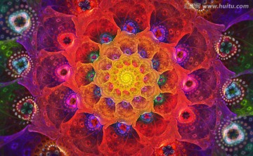 花紋圖案