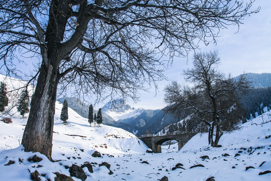 天山山脉积雪