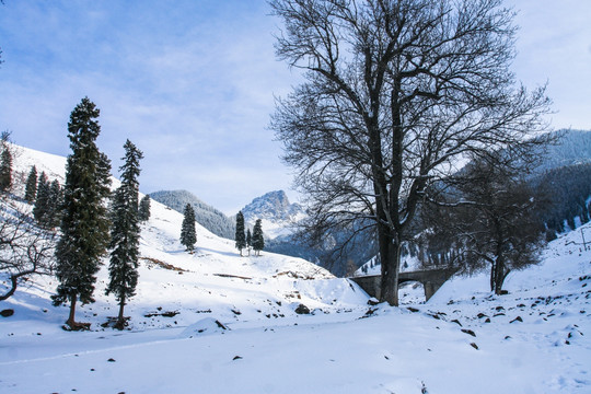 天山山脉积雪