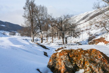 天山山脉积雪