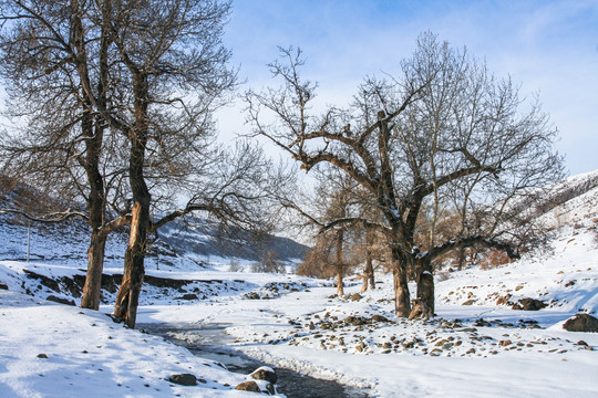 天山山脉积雪