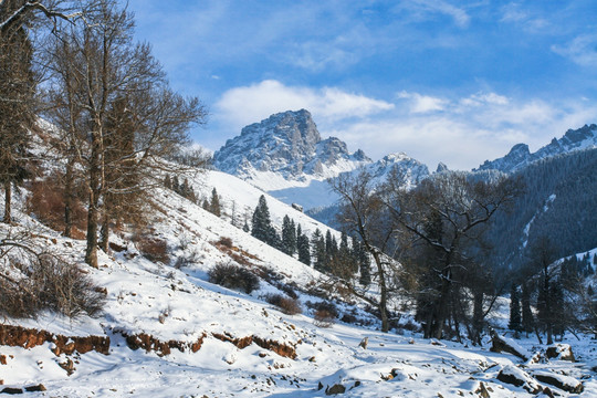 天山山脉积雪