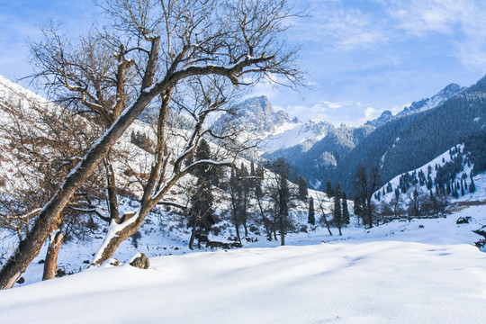 天山山脉积雪