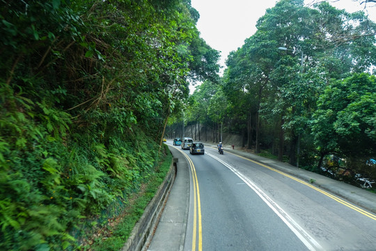 城市道路